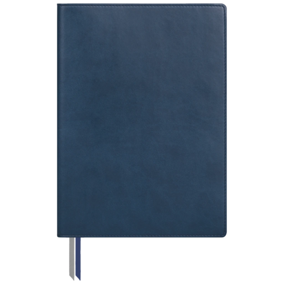 Notizbuch Office A5+ Flex kariert Soft Biolight (aussen blau/innen grau) blau (Lagerware)
