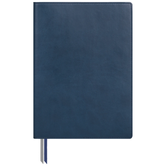 Notizbuch Office A5+ Flex kariert Soft Biolight (aussen blau/innen grau) blau (Lagerware)