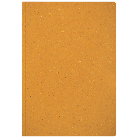 Notizbuch Earth Tone A5 punktiert Naturkarton orange (Lagerware)
