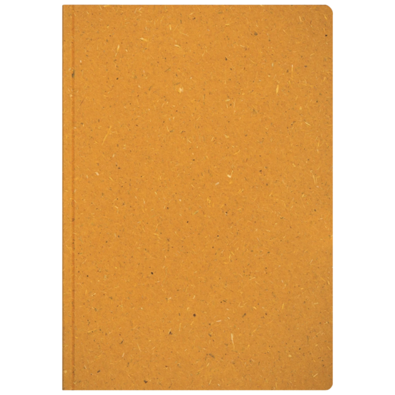 Notizbuch Earth Tone A5 punktiert Naturkarton orange (Lagerware)
