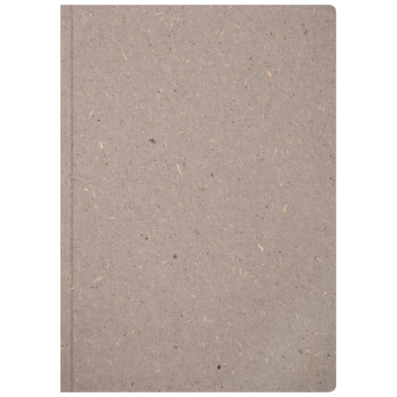 Notizbuch Earth Tone A5 punktiert Naturkarton hellgrau (Lagerware)