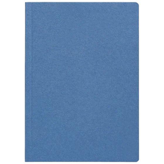Notizbuch Earth Recycling A5+ kariert Recyclingkarton blau (Lagerware)