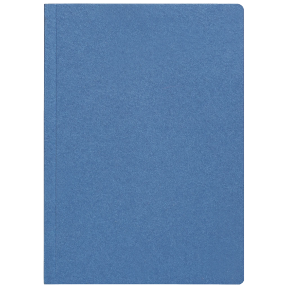 Notizbuch Earth Recycling A5+ kariert Recyclingkarton blau (Lagerware)