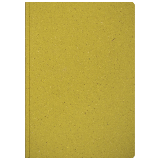Notizbuch Earth Tone A5 punktiert Naturkarton grün (Lagerware)