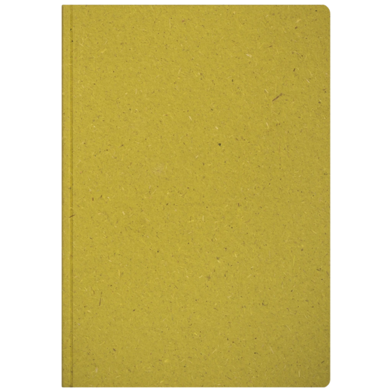 Notizbuch Earth Tone A5 punktiert Naturkarton grün (Lagerware)